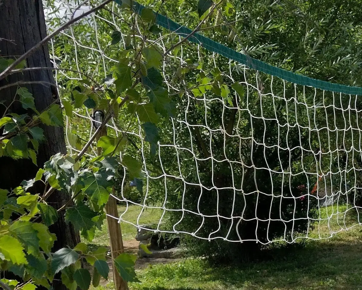 Actividades recreativas