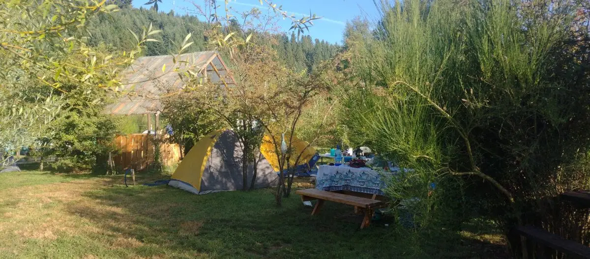 Servicios del camping